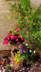 Pagasta "Sakoptās sētas" - 2014